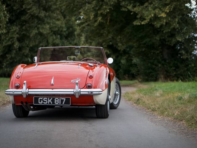 Austin-Healey 3000 Mk I (BN7)