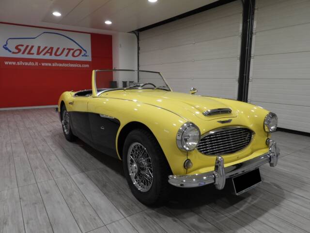 Immagine 1/50 di Austin-Healey 3000 Mk I (BN7) (1960)