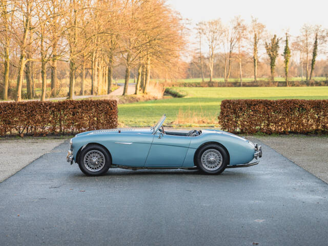 Austin-Healey 100/4 (BN1)