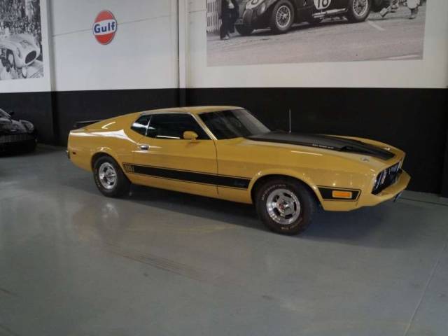 Image 1/50 of Ford Mustang Mach 1 (1973)
