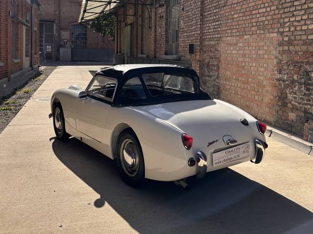 Austin-Healey Sprite Mk I - Austin Healey Sprite MK I - Frogeye - in weiß