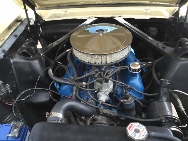 Ford Mustang 289