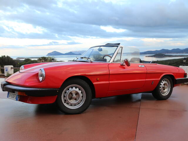 Immagine 1/87 di Alfa Romeo Spider Veloce (1984)