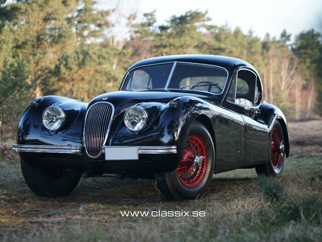 Bild 1/22 von Jaguar XK 120 FHC (1952)