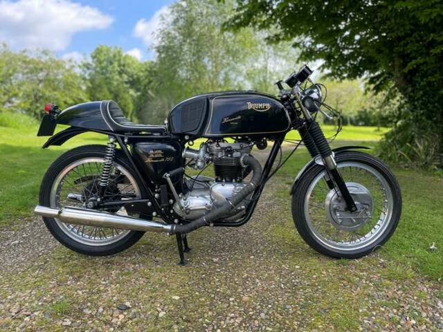 Immagine 1/44 di Triumph DUMMY (1966)