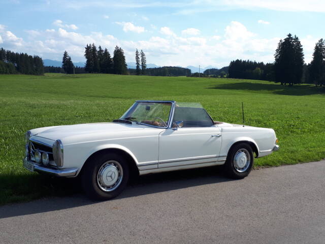 Image 1/6 de Mercedes-Benz 280 SL (1969)