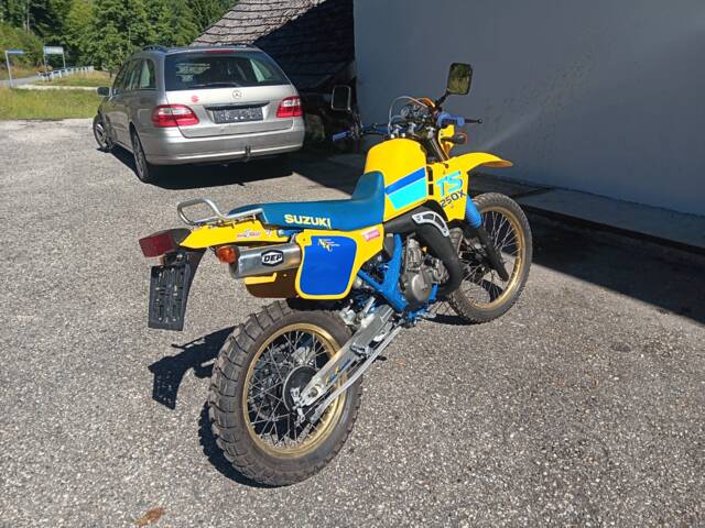 Suzuki TS 250X