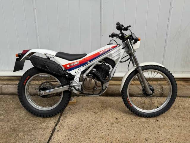 Honda TLR 250