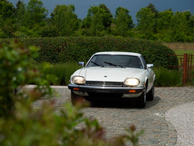 Jaguar XJS 5.3 V12