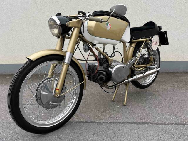 Rumi Junior Gentleman 125