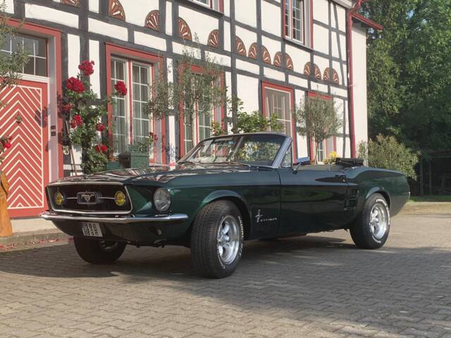 Bild 1/16 von Ford Mustang 302 (1967)