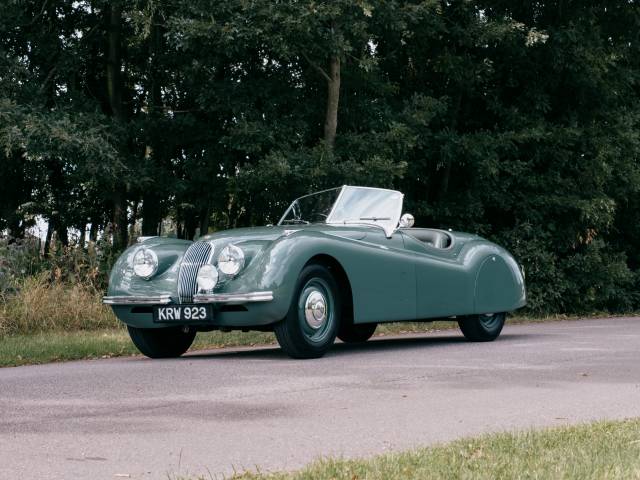 Image 1/50 of Jaguar XK 120 OTS (1951)