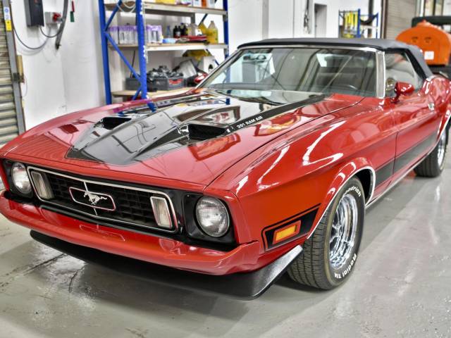 Bild 1/41 von Ford Mustang 351 (1973)