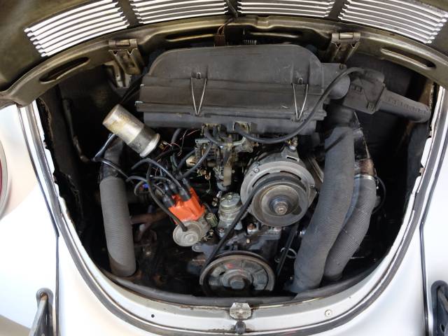 Volkswagen Beetle 1303