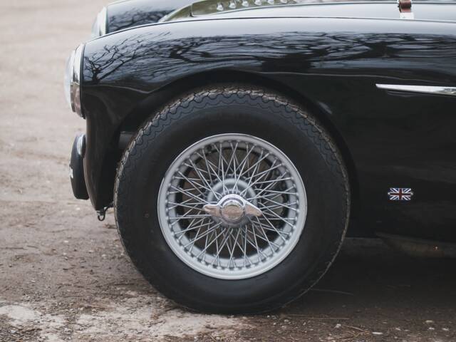 Austin-Healey 100/4 (BN2)