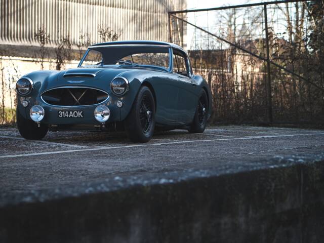 Austin-Healey 3000 Mk I (BT7)