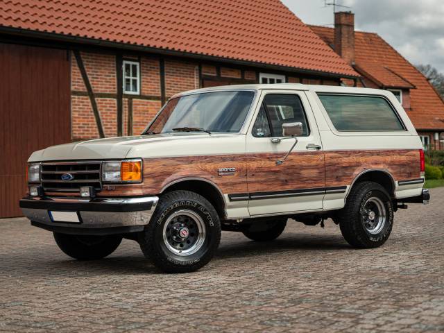 Immagine 1/40 di Ford Bronco (1989)