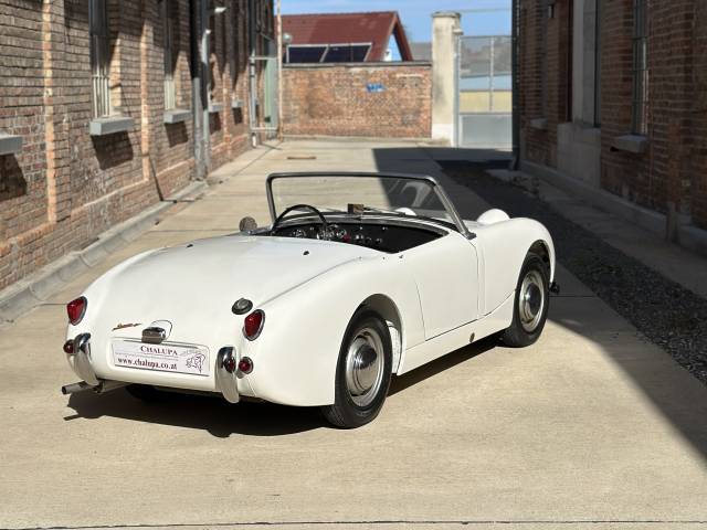 Austin-Healey Sprite Mk I - Austin Healey Sprite MK I - Frogeye - in weiß