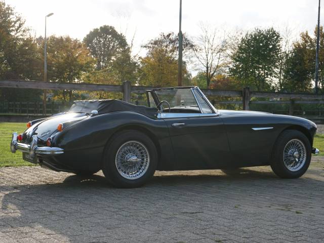 Austin-Healey 3000 Mk III (BJ8)