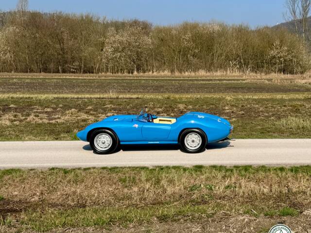Devin D Spyder