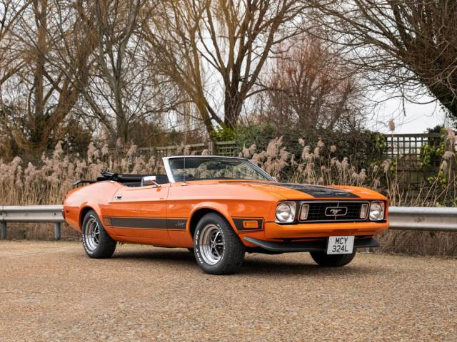 Image 1/15 of Ford Mustang 302 (1973)