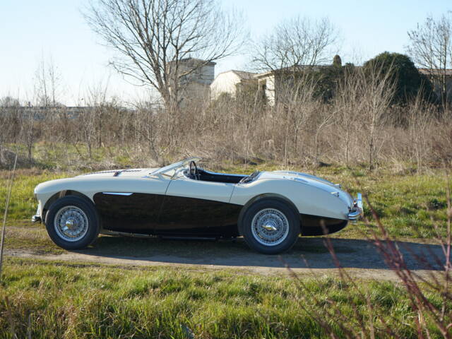 Austin-Healey 100/4 (BN2)