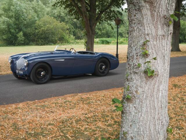 Austin-Healey 100/4 (BN1)