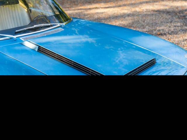 ISO Grifo