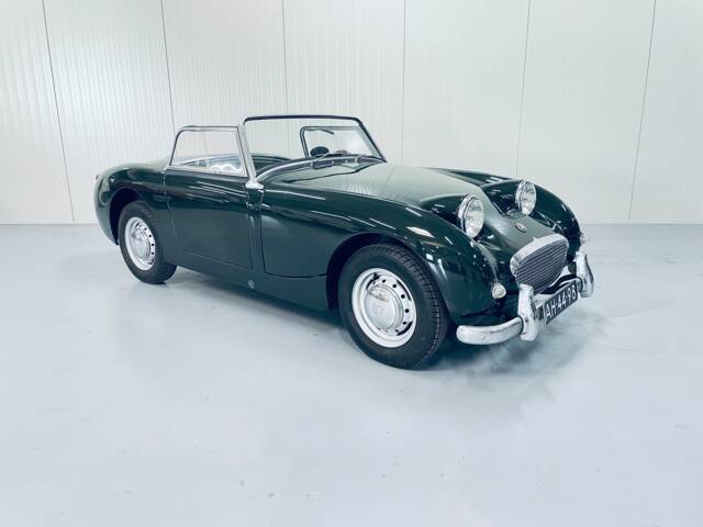 Image 1/14 of Austin-Healey Sprite Mk I (1960)