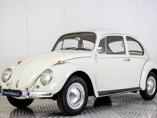 Bild 1/50 von Volkswagen Coccinelle 1200 (1965)