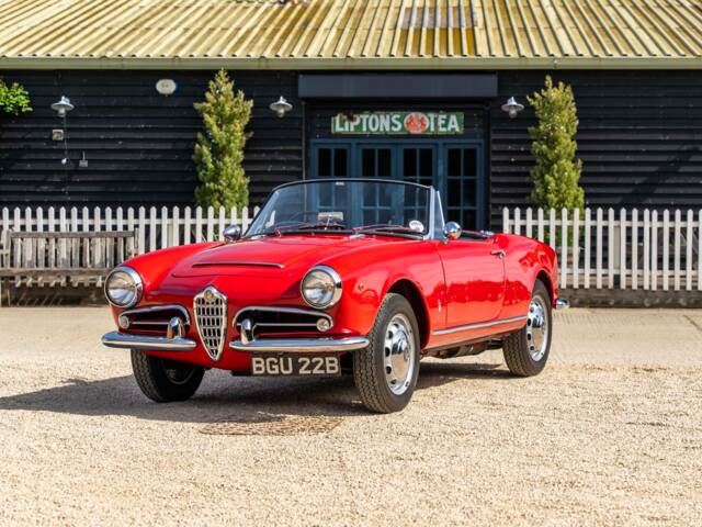 Image 1/8 of Alfa Romeo Giulia 1600 Spider (1963)