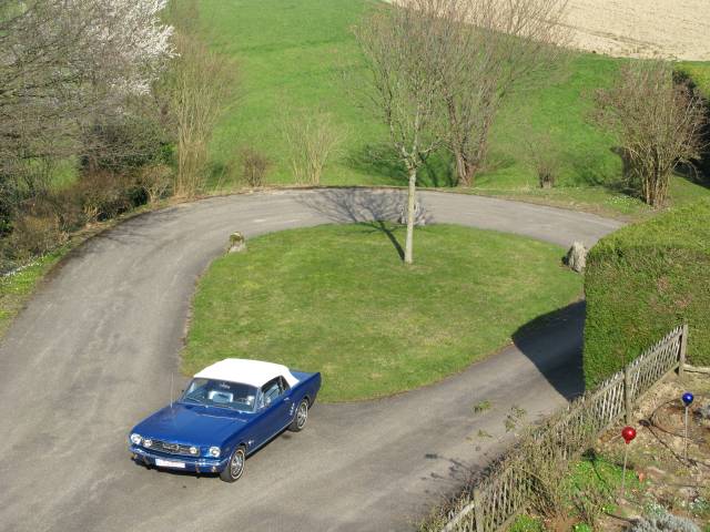 Ford Mustang 289