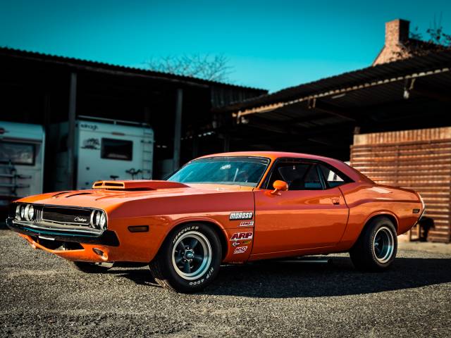 Bild 1/13 von Dodge Challenger R&#x2F;T (1970)