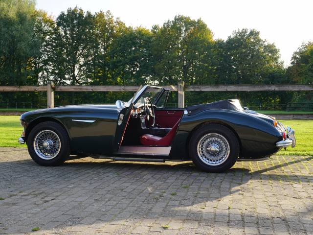 Austin-Healey 3000 Mk III (BJ8)