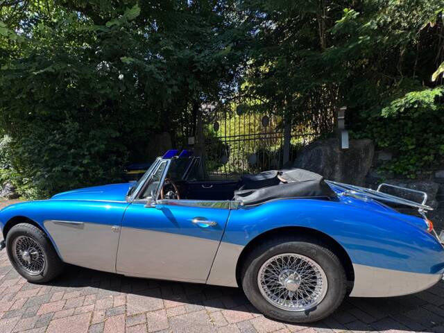Austin-Healey 3000 Mk III (BJ8)