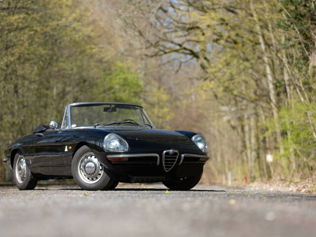 Immagine 1/59 di Alfa Romeo 1600 Spider Duetto (1966)