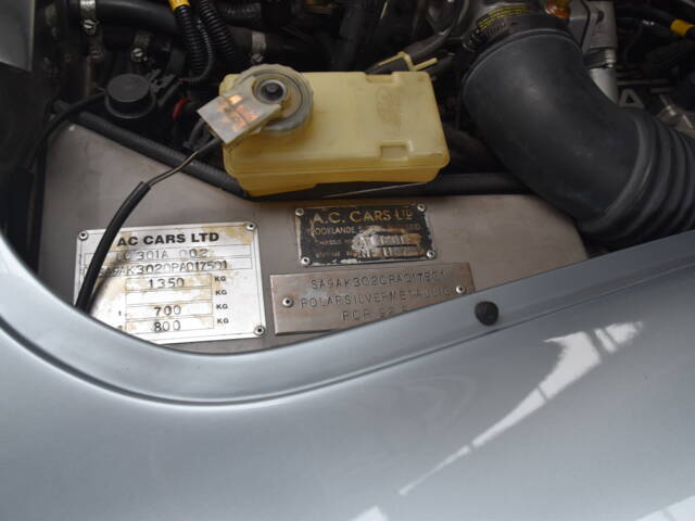 AC Sports 289