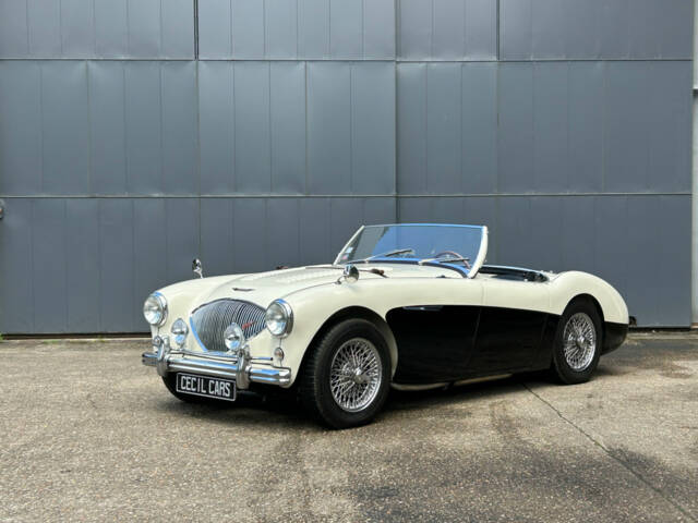 Image 1/42 de Austin-Healey 100&#x2F;4 (BN2) (1956)