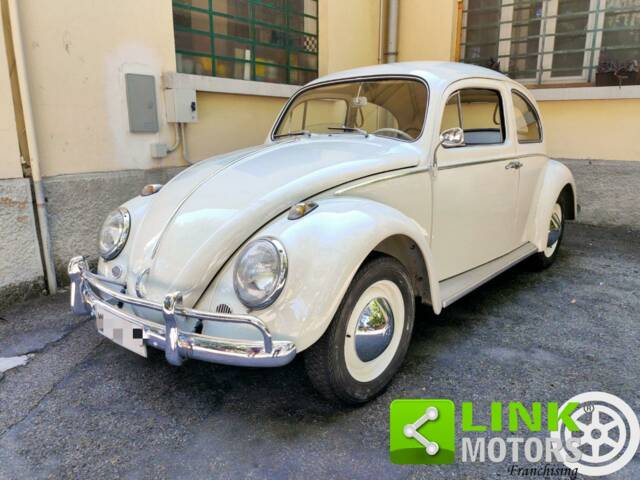 Image 1/9 of Volkswagen Beetle 1200 Standard &quot;Dickholmer&quot; (1963)