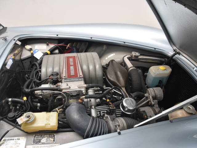 AC Sports 289