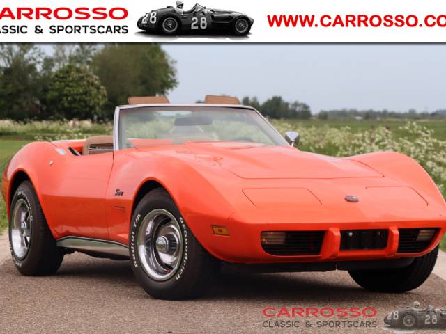 Bild 1/50 von Chevrolet Corvette Stingray (1975)