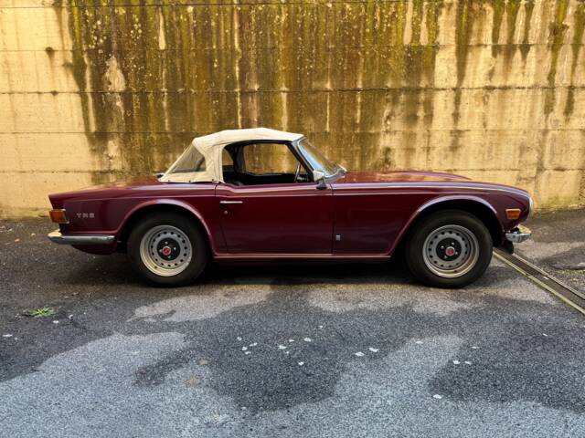 Triumph TR 6 PI