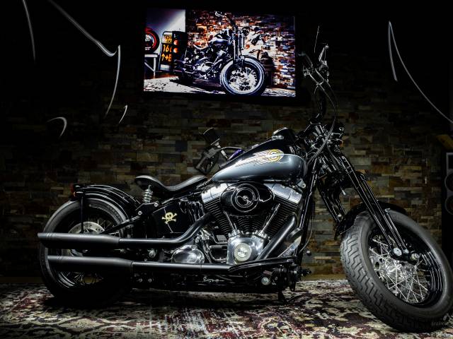 Imagen 1/37 de Harley-Davidson DUMMY (2010)
