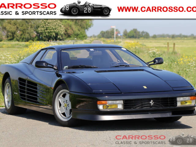 Afbeelding 1/41 van Ferrari Testarossa (1990)
