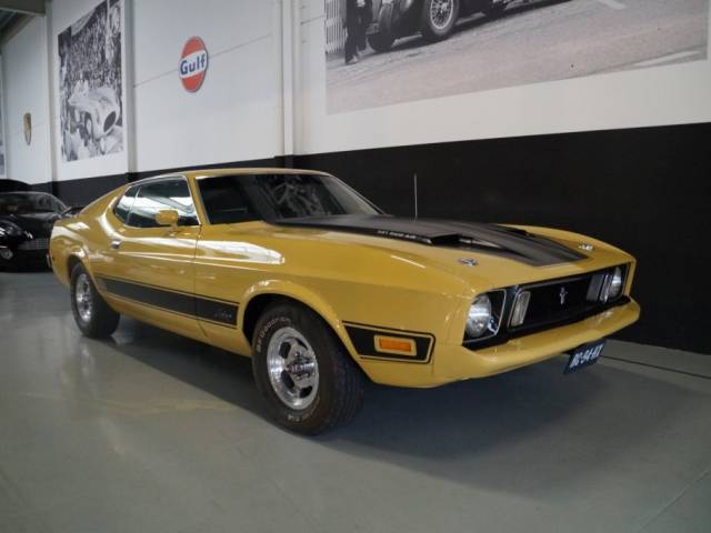 Image 1/46 of Ford Mustang Mach 1 (1972)