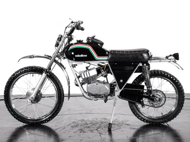 Bild 1/25 von Fantic DUMMY (1973)