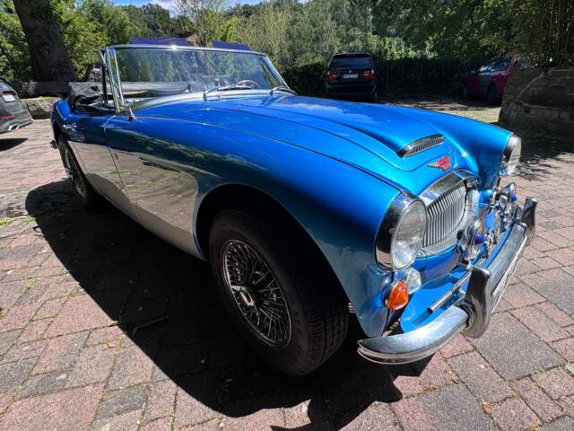 Austin-Healey 3000 Mk III (BJ8)