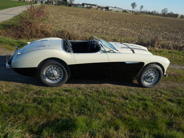 Austin-Healey 100/4 (BN2)