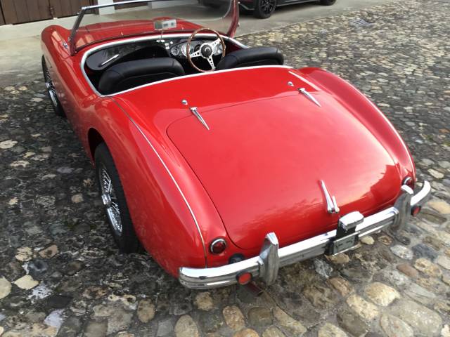 Austin-Healey 100/4 (BN1)