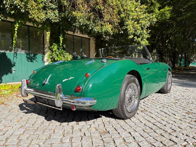 Austin-Healey 100/6 (BN6)